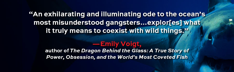 The Dragon Behind the Glass, Book by Emily Voigt